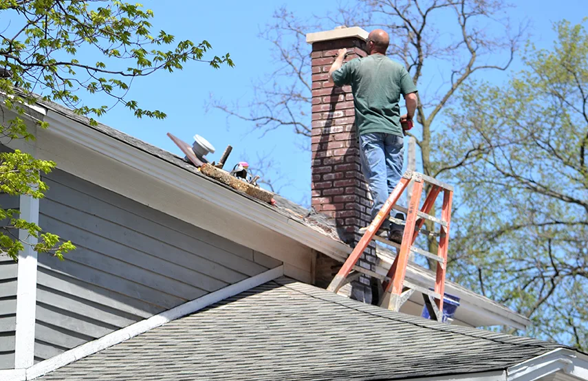 Chimney & Fireplace Inspections Services in St. Andrews, SC
